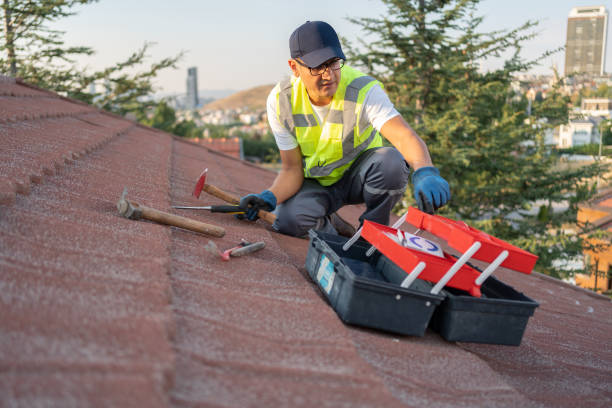 Best Attic Cleanout  in Evart, MI